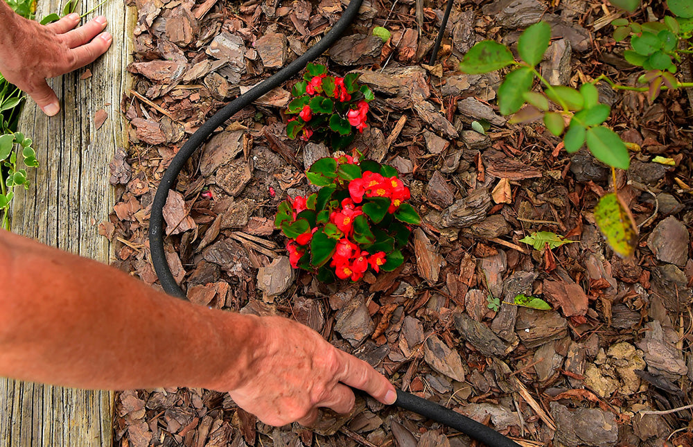 Utility flat hose reel for Gardens & Irrigation 