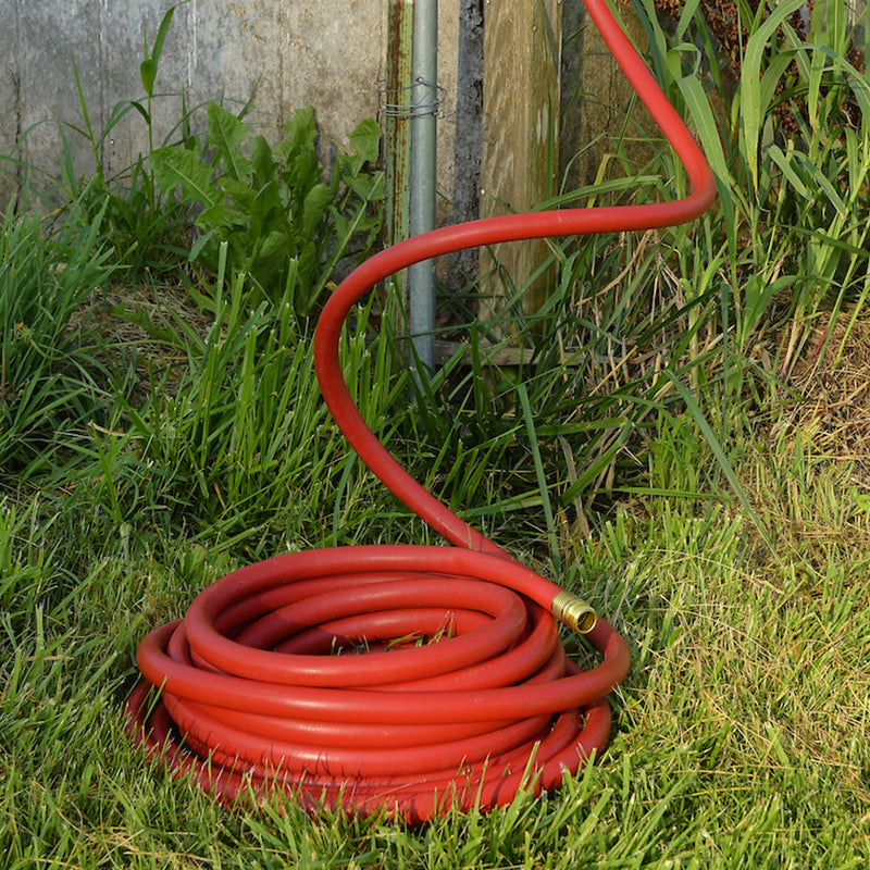 A red hose rolled up in the grass