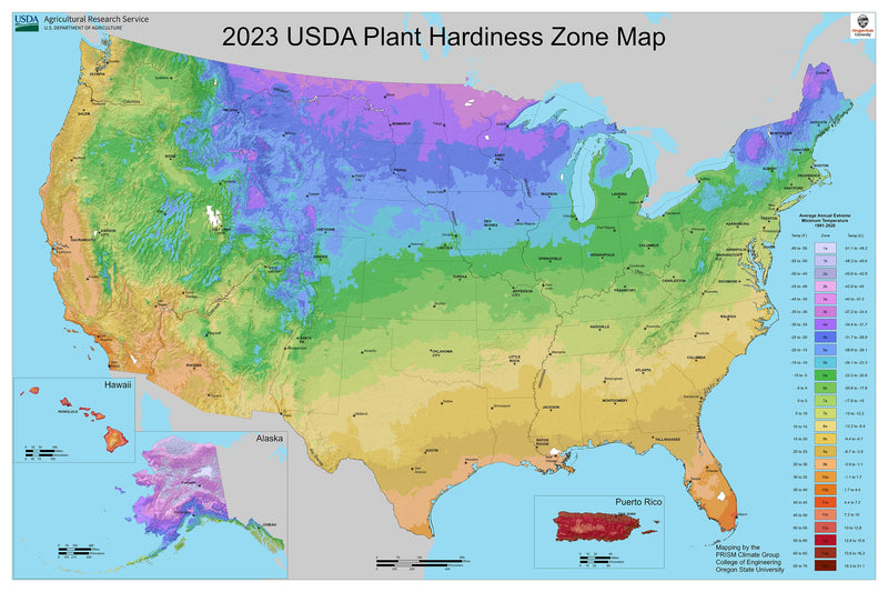 USDA Plant Hardiness Zone Map: Find Your Planting Zone by ZIP Code