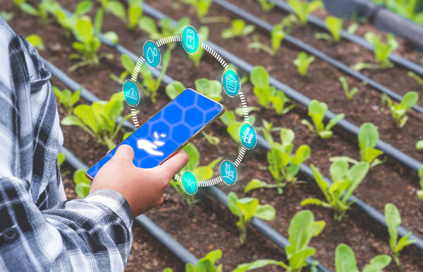 Watering Trends in 2025 That Will Make Gardening Smarter and More Sustainable