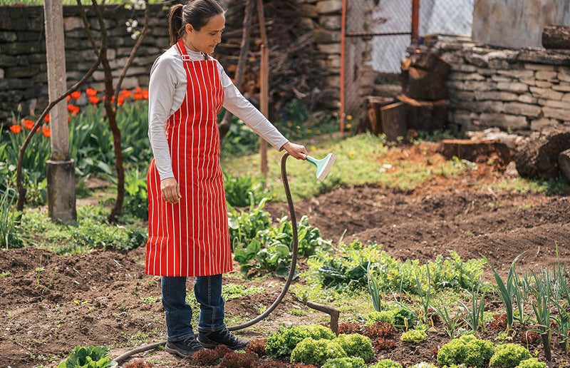 Improving Water Retention with Mulch