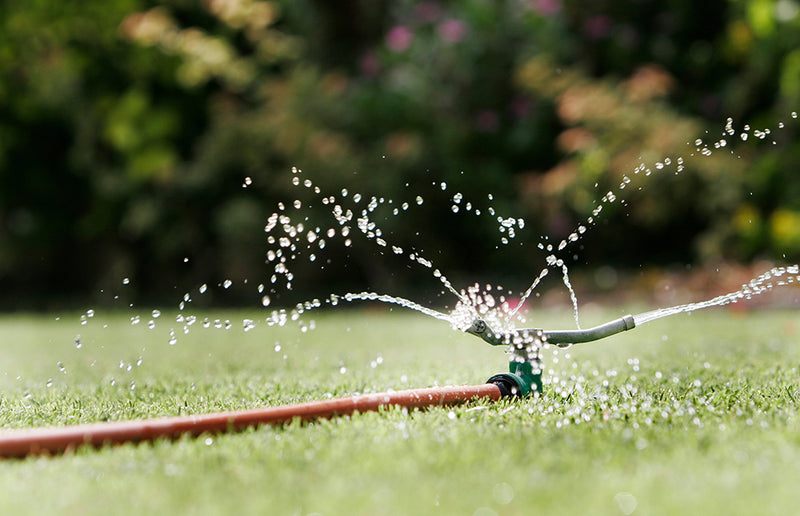 What Are the Best Ways to Water a Lawn?
