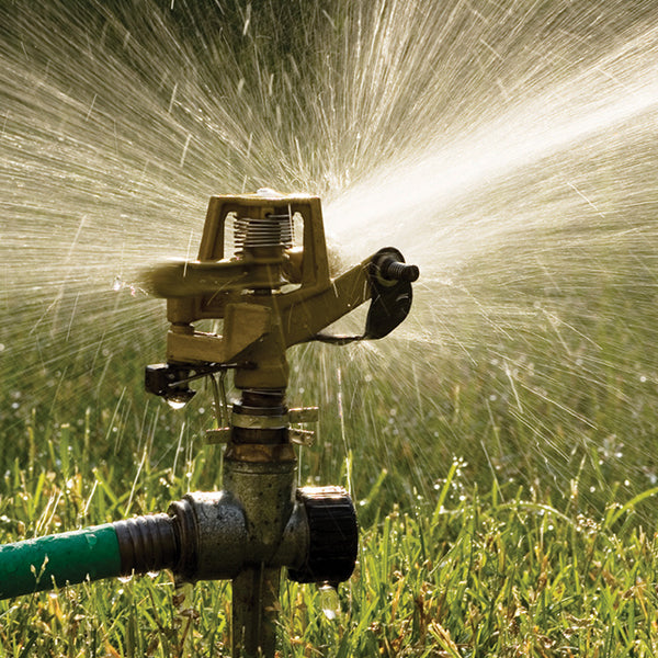 Soaker Hose vs. Sprinkler - Which Is Best for Your Garden