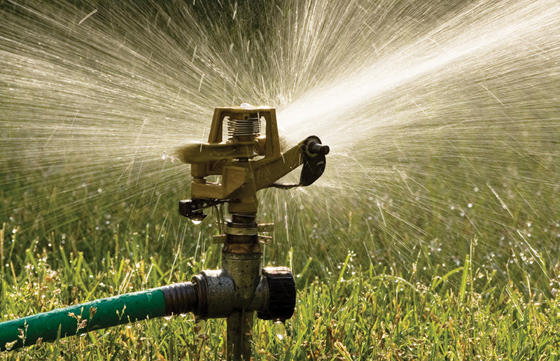A Soaker Hose Vs. Sprinkler—Which Is Best for Your Garden