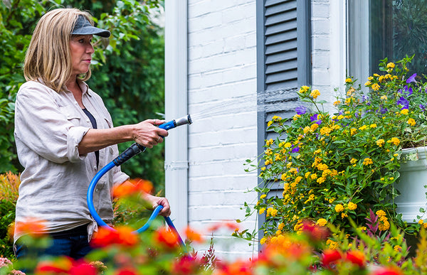 The Art of Watering Annual Flowers: A Comprehensive Guide