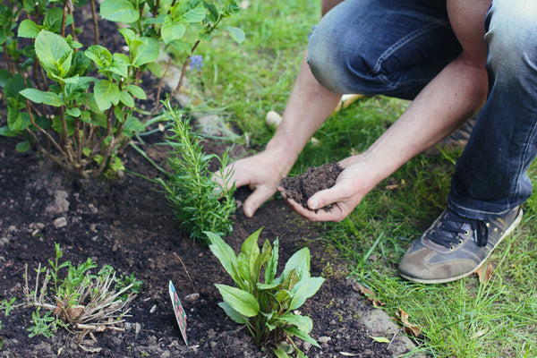 How to Reduce Acidity in Your Garden Soil