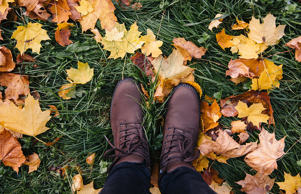 Unlock a Lush Spring Lawn with Expert Fall Care Tips: A Comprehensive