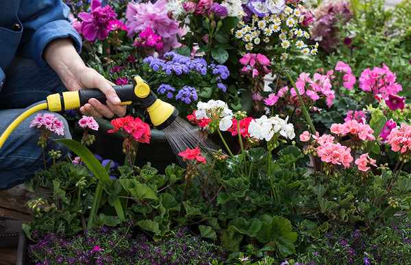 How to Water Different Types of Garden Flowers