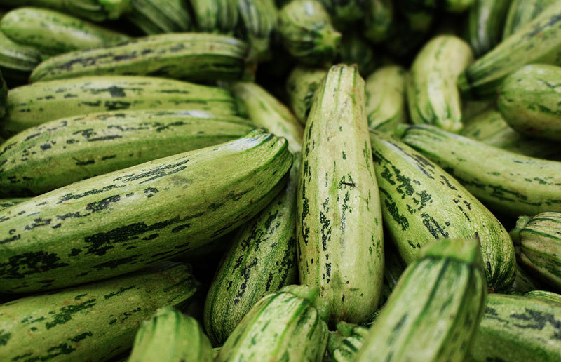 How to Water Zucchini for High Yield and Mild Flavor