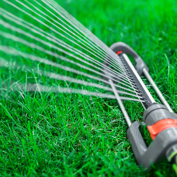 How to Water a Lawn