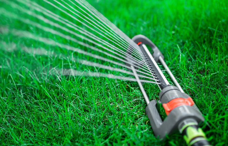 How to Water a Lawn