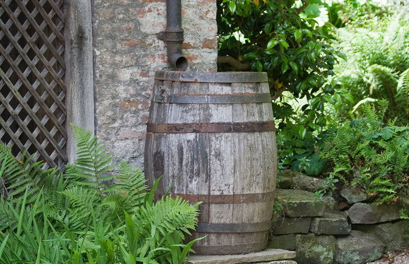 Benefits of each: rain barrel vs garden hose