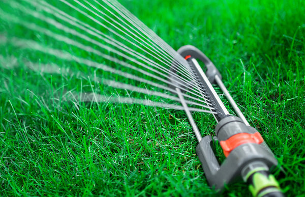 Smart Fall Watering Tips for a Beautiful Spring Lawn
