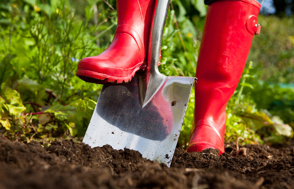 Best Practices for Tilling Garden Soil