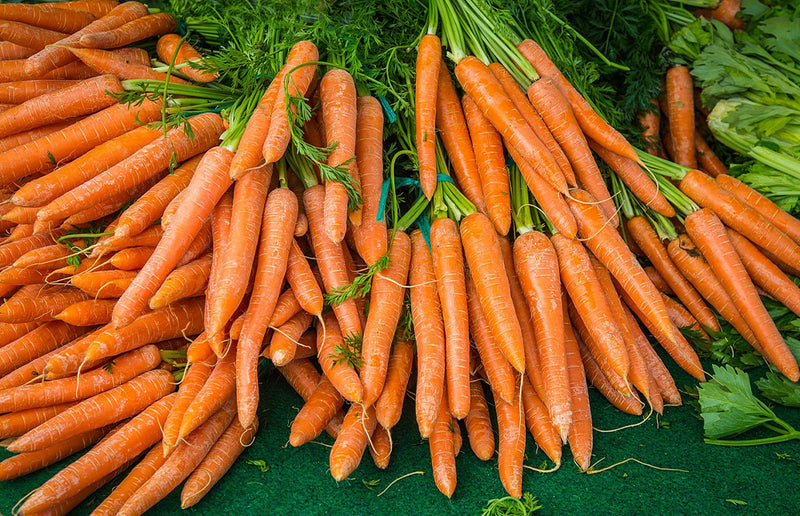 The Right Way to Water Carrots for Sweet, Tender Roots