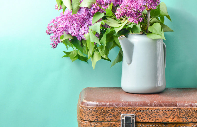 How to Keep Outdoor Plants Watered When You’re on Vacation