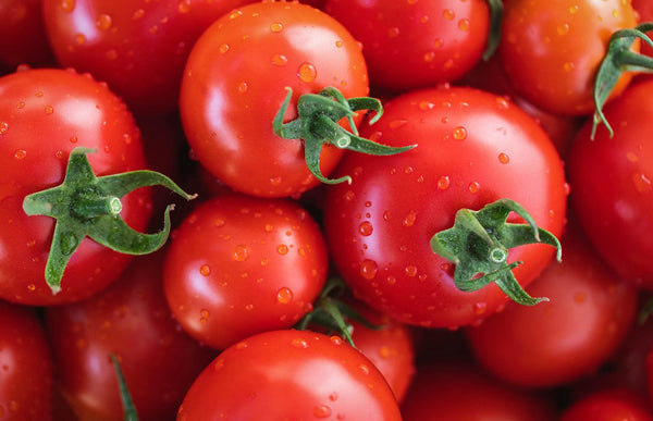 Six Smart Ways to Water Tomatoes for Juicy, Flavorful Fruit