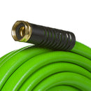 Swan Hose Swan Swan WaterCOLOR Green Hose