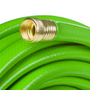 Swan Hose Swan Swan WaterCOLOR Green Hose