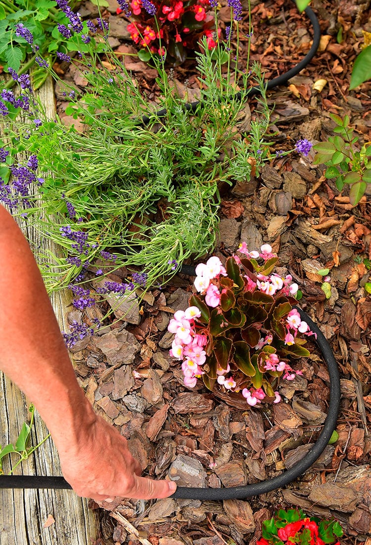 Man setting up a soaker hose in a garden