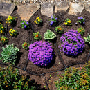 Swan Hose Element Element SoakerPRO Soaker Hose