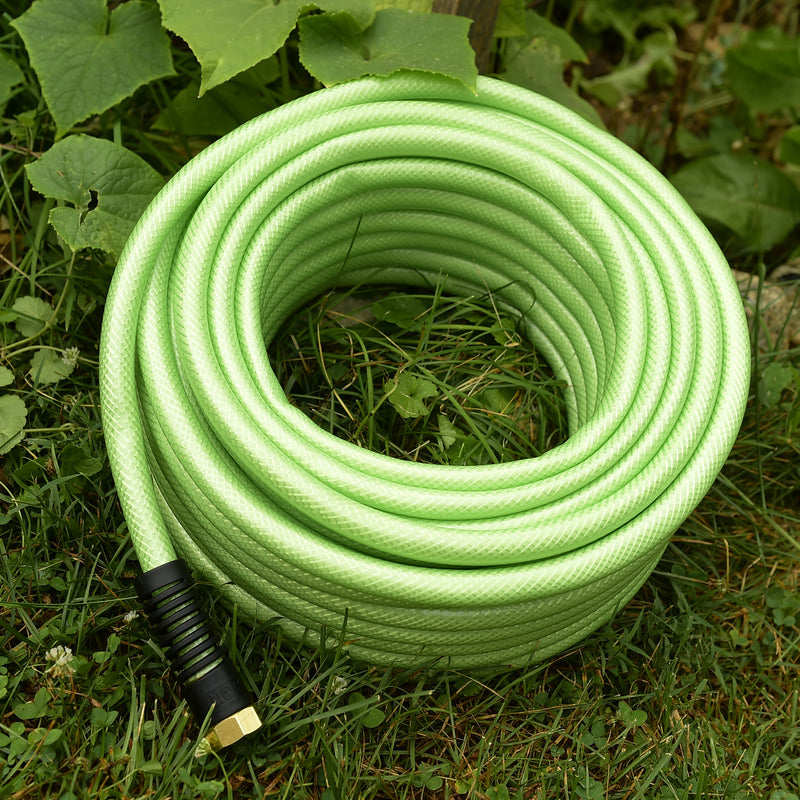 A light green hose coiled up in the grass