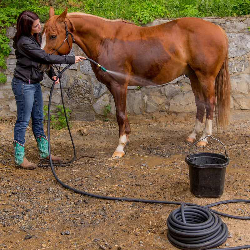 A woman washing a horse with a black hose