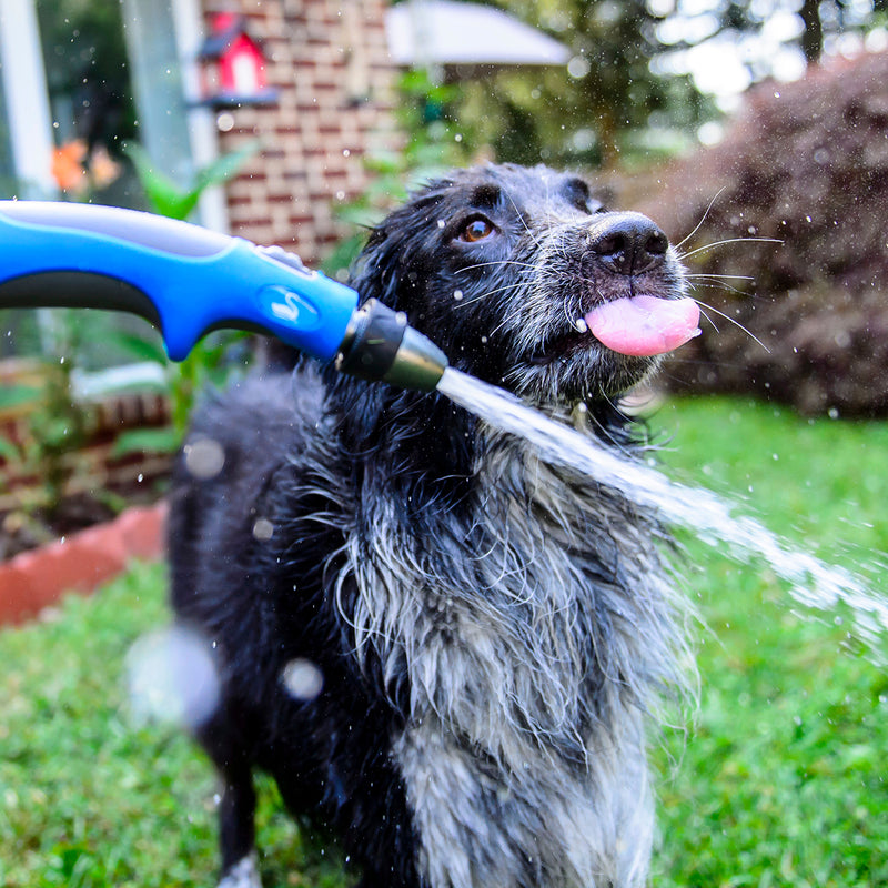 A dog drinking from a hose with spray nozzle