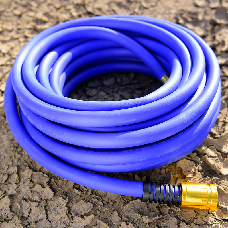 A blue hose wrapped up and sitting on the ground